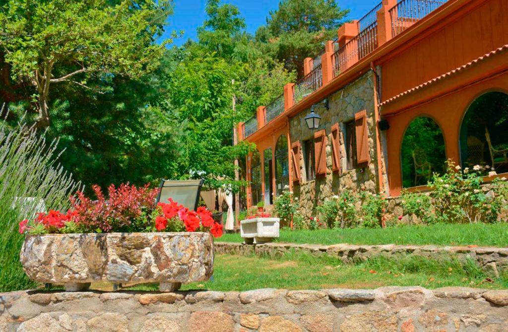 Hospedium Hostal Almanzor نافاريدوندا دي غريدوس المظهر الخارجي الصورة